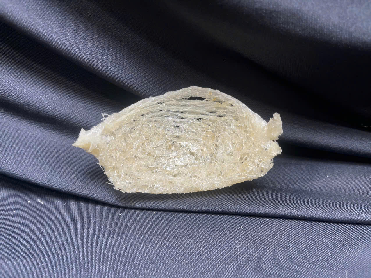 Yến rút lông đắp tổ